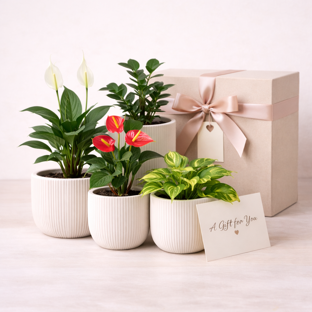 เซตของขวัญ Warm Wishes