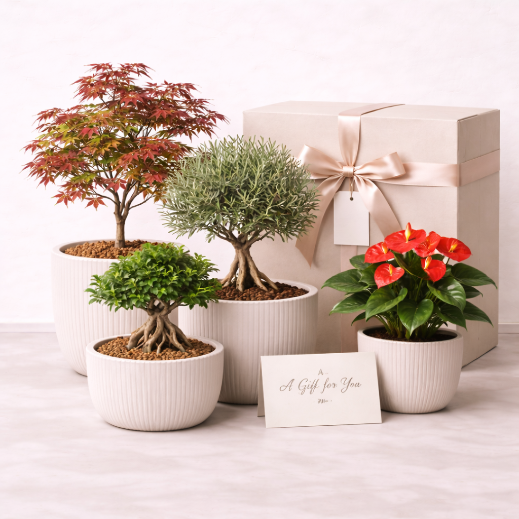 Premium Gift Set — “Prosperity & Harmony Collection”